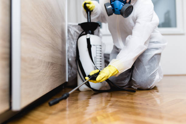 Best Ant Control Services  in Fruitdale, CA
