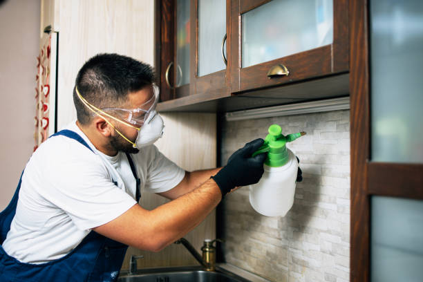 Best Residential Pest Control  in Fruitdale, CA