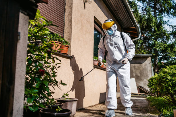 Best Affordable Pest Control Services  in Fruitdale, CA