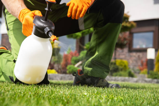 Best Pest Control Cost  in Fruitdale, CA