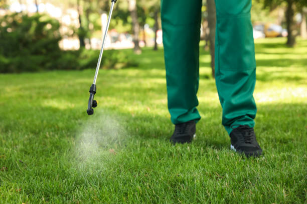 Reliable Fruitdale, CA Pest Control Solutions