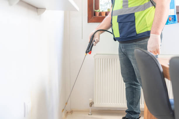 Flea Control Services in Fruitdale, CA
