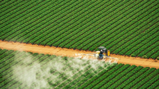 Best Pest Control Near Me  in Fruitdale, CA