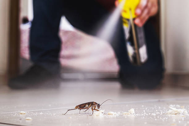 Best Best Pest Control Companies  in Fruitdale, CA