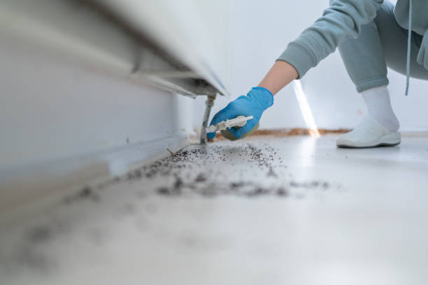 Best Emergency Pest Control  in Fruitdale, CA